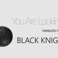 [Fine Glitter] Black Knight