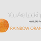 [Fine Glitter] Rainbow Orange